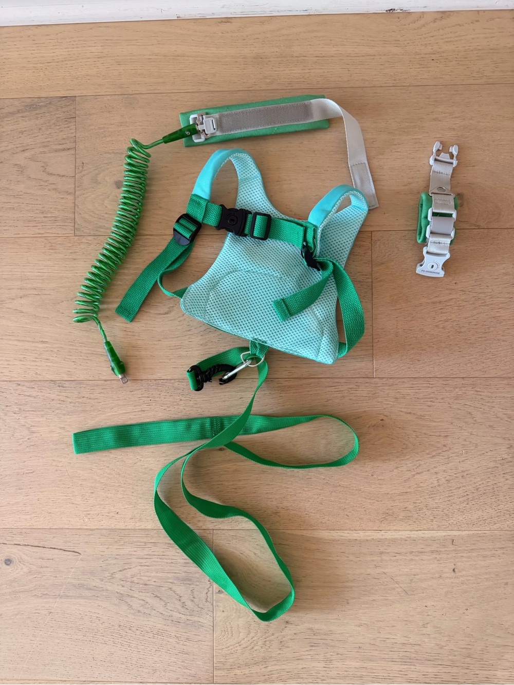 Dinosaur Toddler Safety Harness and Leash - Picture 2 of 6
